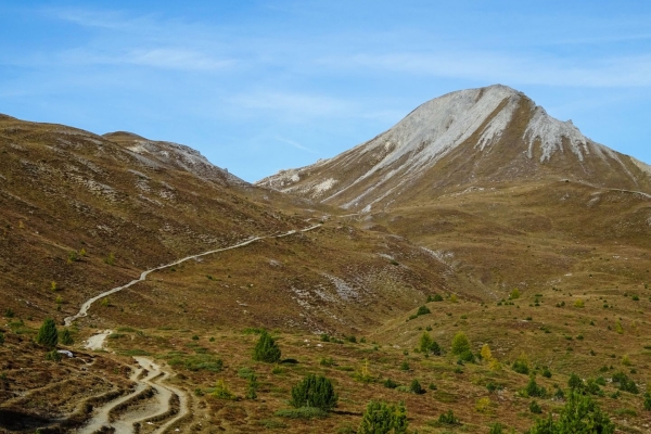 Auf den Munt la Schera im Nationalpark