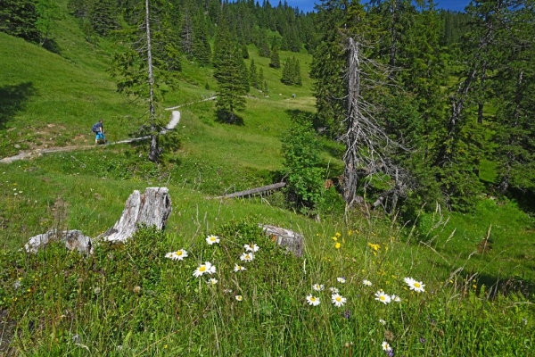 Marais enchanteur du Glaubenberg