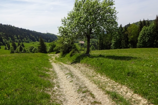 La Route de l’Absinthe dans le val de Travers