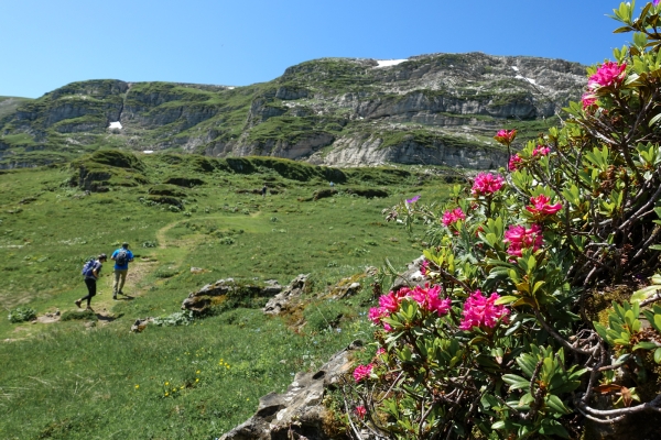 Paysage karstique jusqu’au Chäserrugg