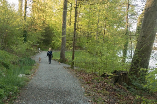 Frühling neben den Flüssen 