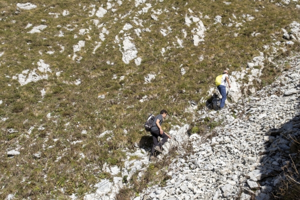 Dans les Préalpes fribourgeoises