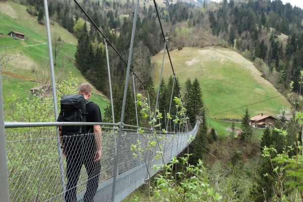 Paysage alluvial dans l’Entschligetal