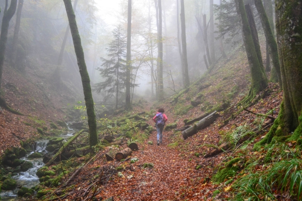 Durch die Wolfsschlucht im Naturpark Thal