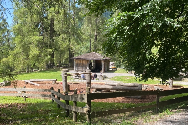 Entspannte Wanderung im Alpenrhein