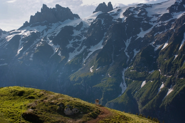 Le col de Surenen