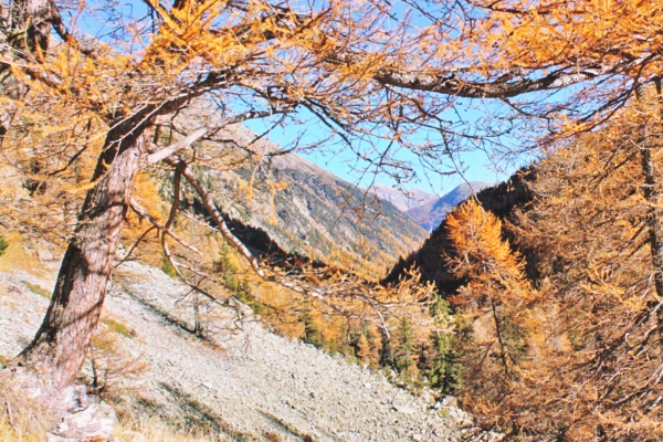 Kanton Graubünden