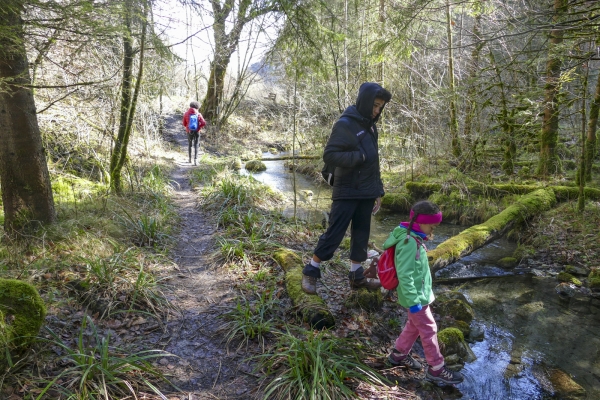 De la vallée de la Simme au lac de Thoune