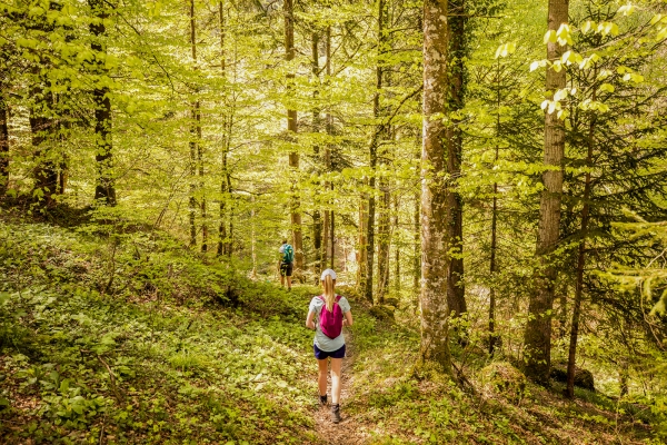 L’Entlebuch par champ, forêt et prairie