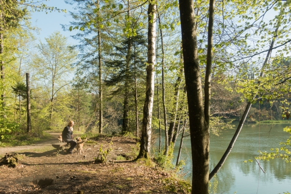 Printemps et rivières 