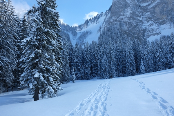 Au pied des Dents Vertes