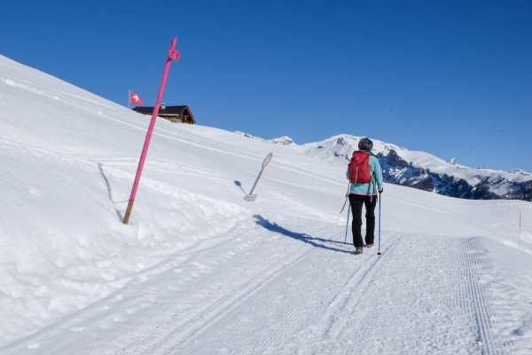 En hiver sur les traces du dahu