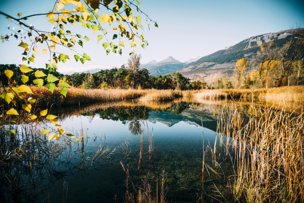 12 Angebote im Naturpark Pfyn-Finges