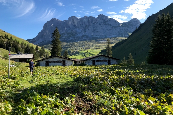 Sur les traces des Walser dans le Prättigau