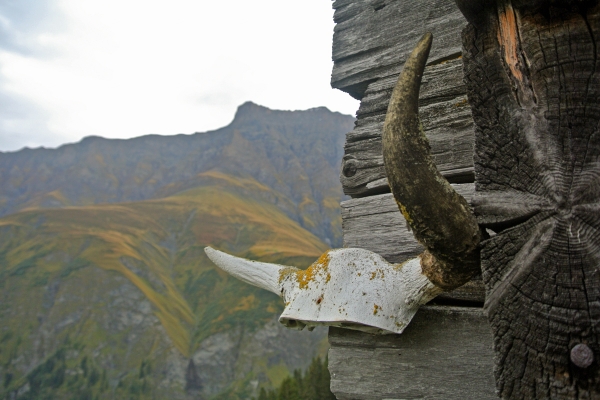 Auf dem Walserweg im Safiental