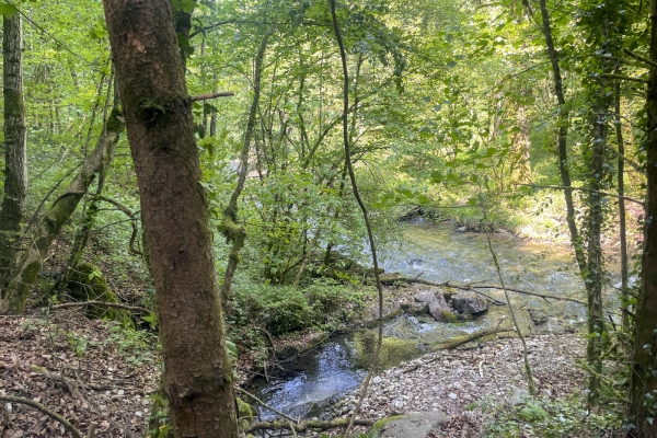 Par des chemins sinueux