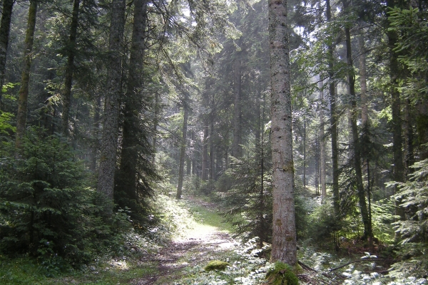 Auf dem Schmugglerpfad ins Val de Travers