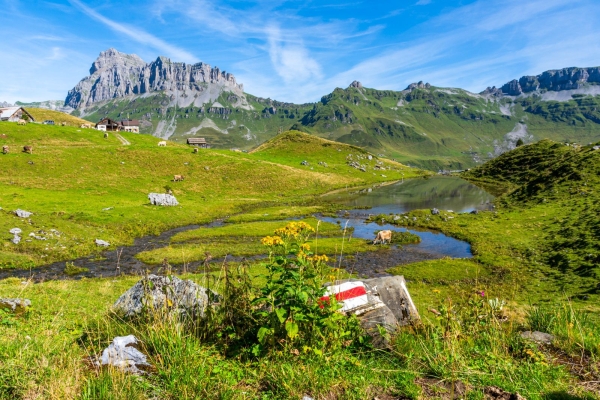 Sortie baignade au lac Wäspenseeli