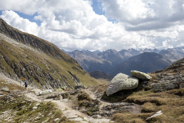 Auprès du roi des Alpes