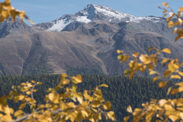 Vues grandioses à l’alpe Wiesner