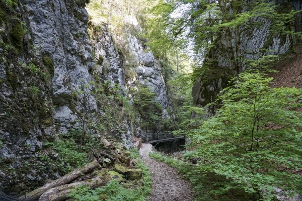 Sur le Chasseral par la Combe Grède