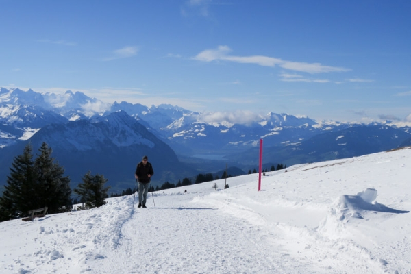 Hoch über dem Vierwaldstättersee