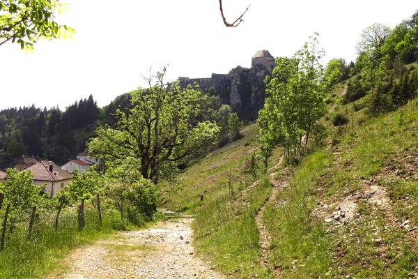 La Route de l’Absinthe dans le val de Travers