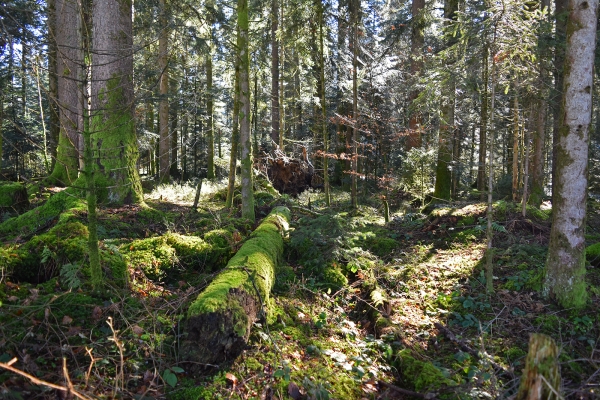 Les charmes de l’Entlebuch