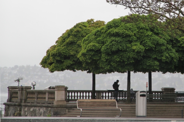 Dans les allées de Zurich