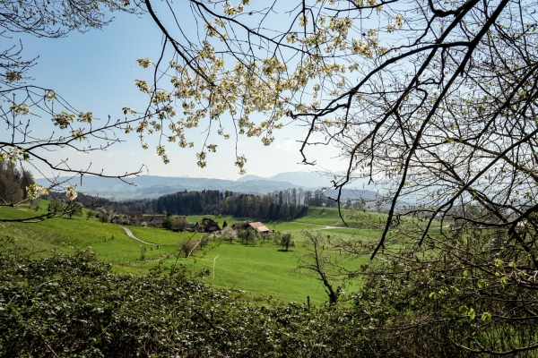 Là où Zurich touche la Suisse centrale