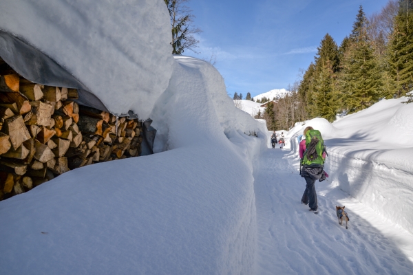 Winterruhe mit rasantem Abschluss