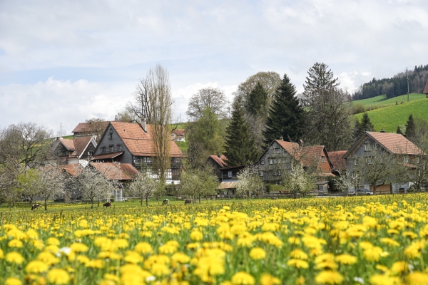 Ostschweizer Grenzwanderung durch wilde Schluchten