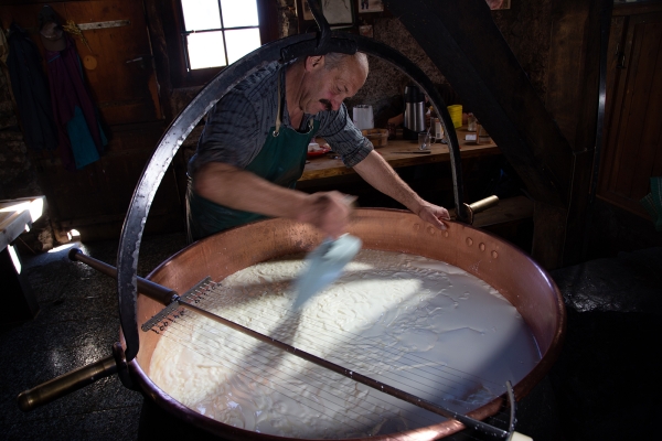 Dans les Préalpes fribourgeoises