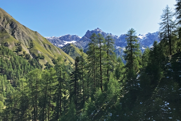 Zu den Wildtieren im Nationalpark