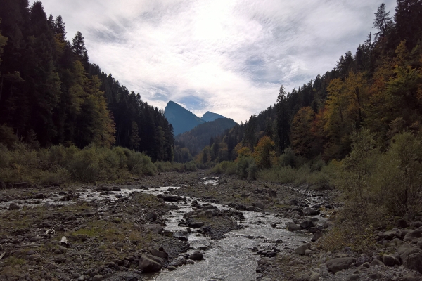 Auf dem Talweg von der Grimmialp nach Oey