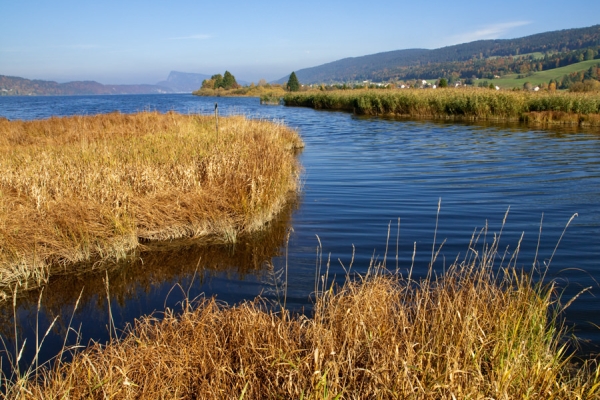 Sur les rives du lac de Joux