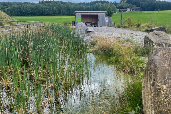 Historische Spuren und viel Natur bei Jonschwil