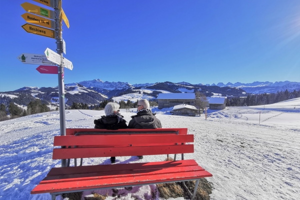 Fermé: Circuit en raquettes dans le Toggenburg