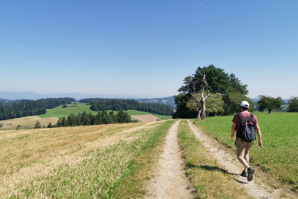 Escursione in altura nell’Alta Argovia