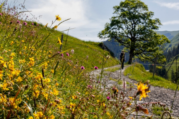 Sommerfrische und Orte der Kraft