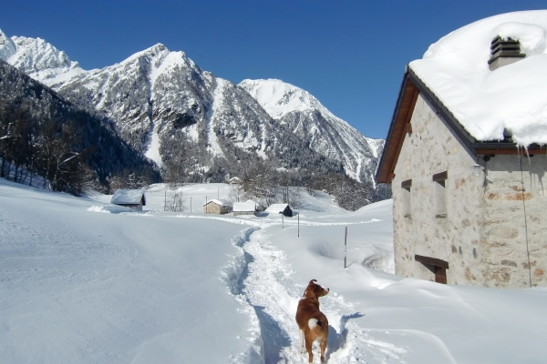 Tour en raquettes dans la Léventine