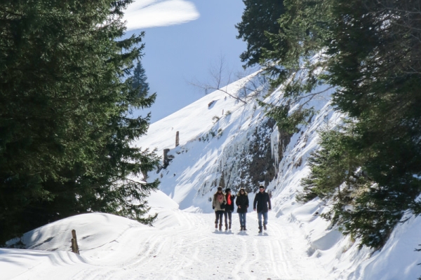 Le lac des Quatre-Cantons à ses pieds