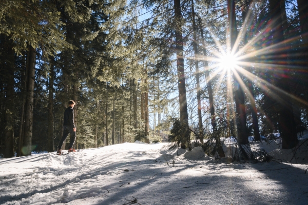 Vue imprenable sur le Hochalp Trail