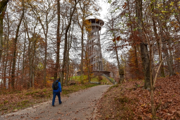 Im Jorat-Wald über Lausanne