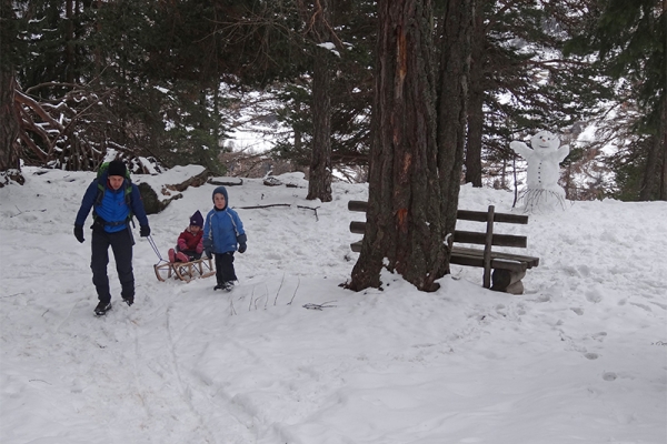 Les forêts enneigées de Grächen