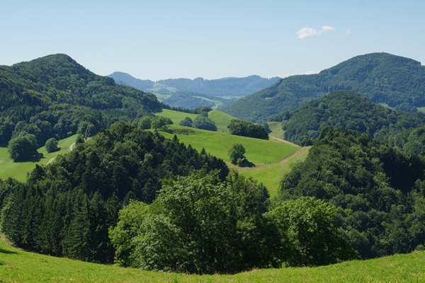 Une portion du chemin de Saint-Jacques