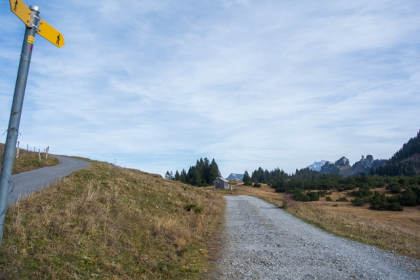 Elfes des marais et Mürtschenstock