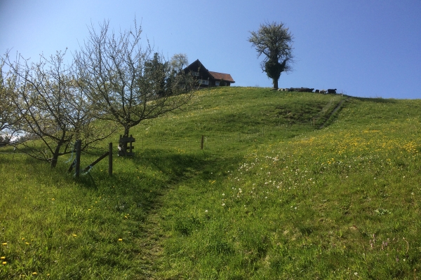 Durchs hügelige Appenzeller Vorderland