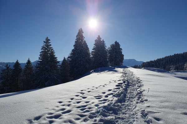 Wintergefühle St. Margrethenberg SCHNEESCHUHWANDERUNG