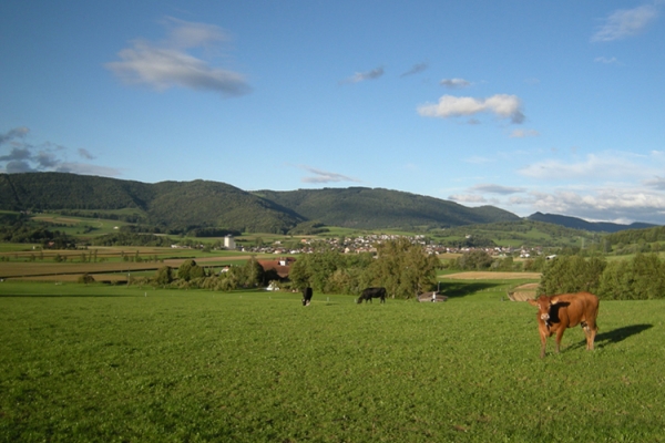 Les alentours de Delémont